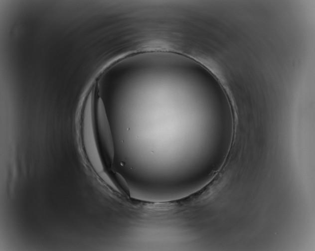 X0000088581008200705251134