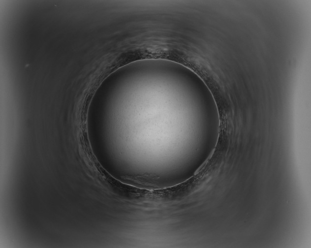 X0000088581009200705251133