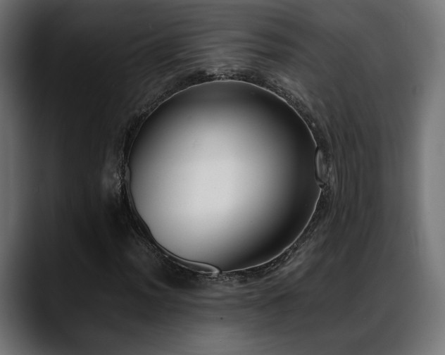 X0000088581012200705251133
