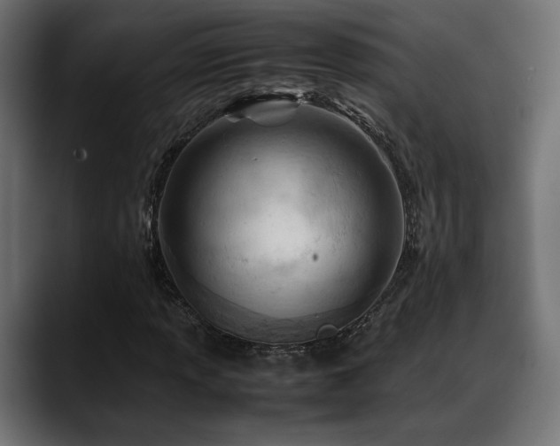 X0000088581013200705251133