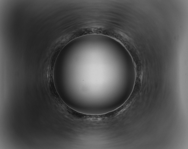 X0000088581014200705251133