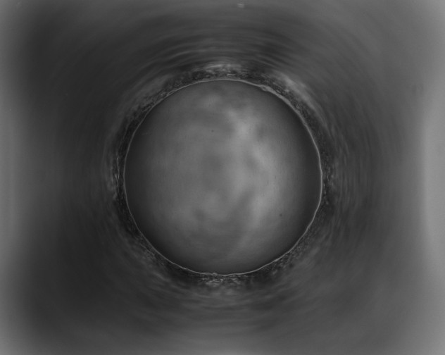 X0000088581015200705251133