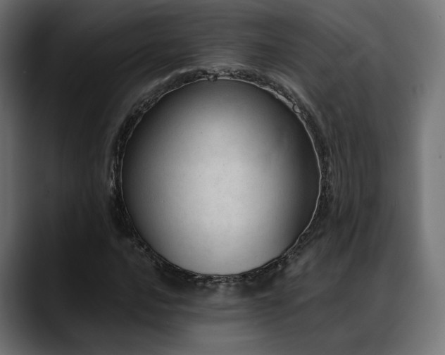 X0000088581016200705251133