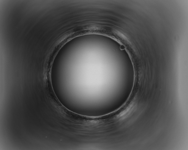 X0000088581017200705251133