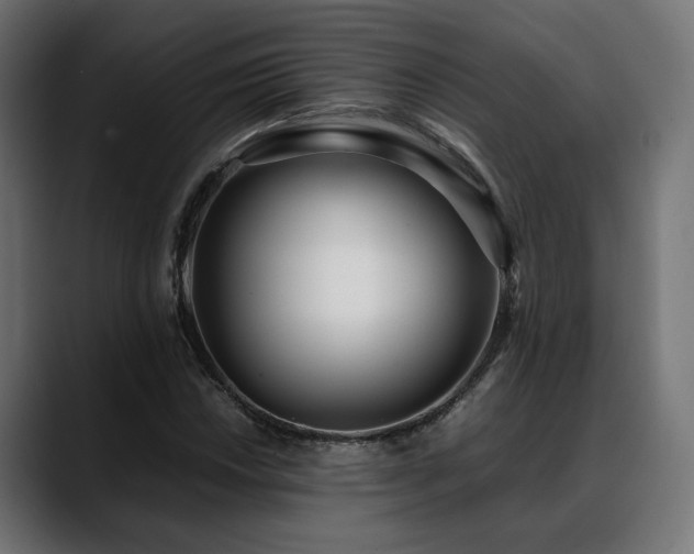 X0000088581018200705251133
