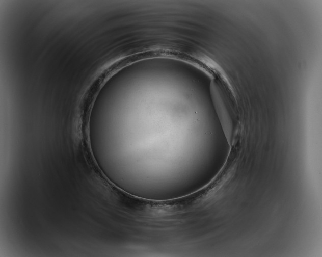 X0000088581019200705251133