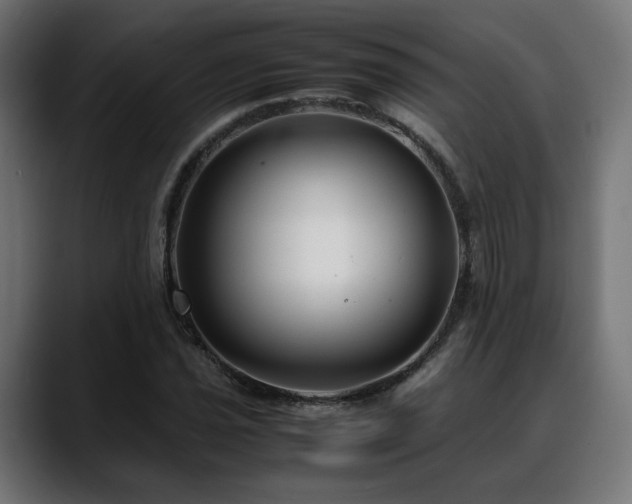 X0000088581021200705251133