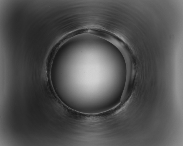 X0000088581022200705251133