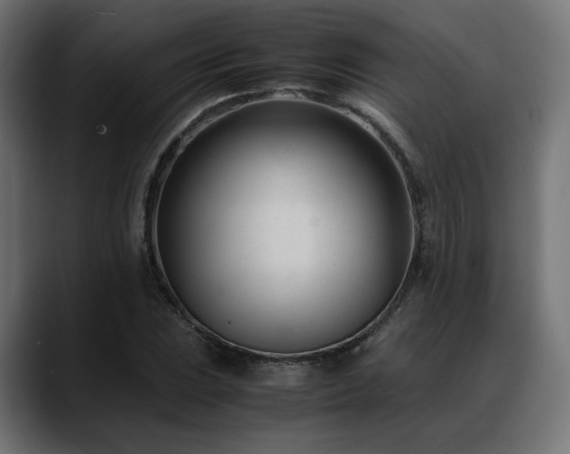 X0000088581023200705251134