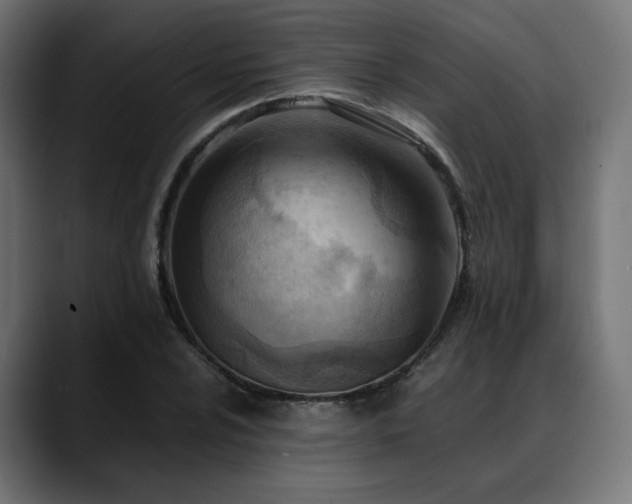 X0000088581024200705251134
