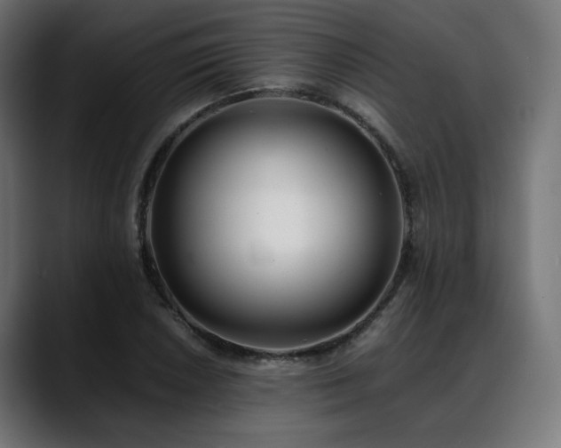 X0000088581026200705251134