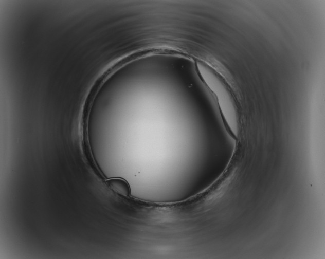 X0000088581028200705251134