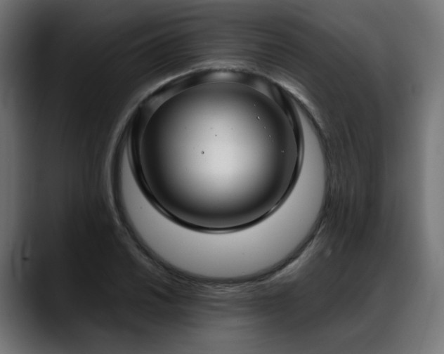X0000088581030200705251134
