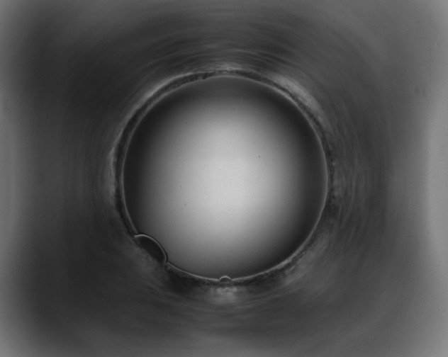 X0000088581031200705251134