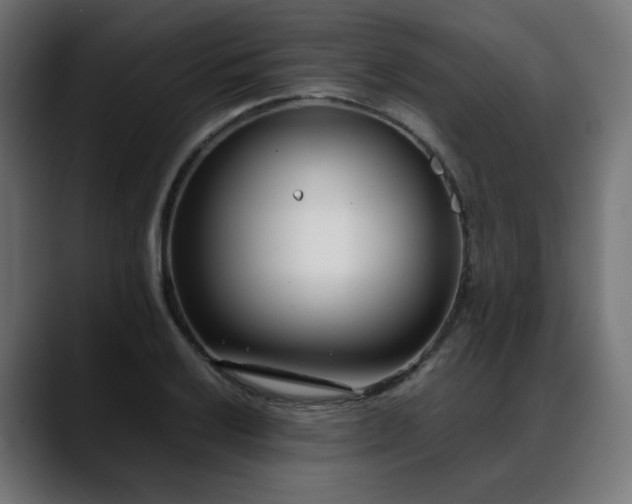 X0000088581032200705251134