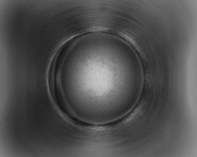 X0000088581034200705251134
