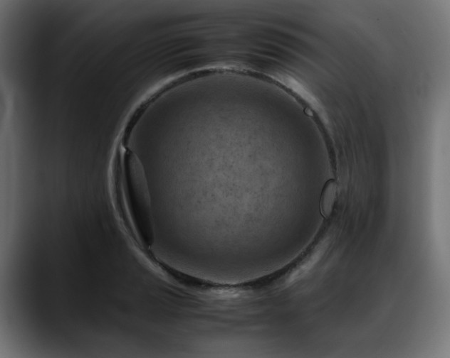 X0000088581037200705251134