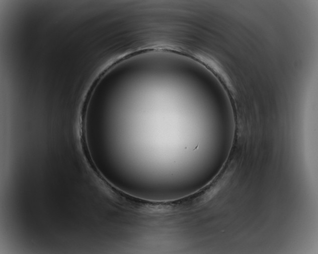 X0000088581040200705251134