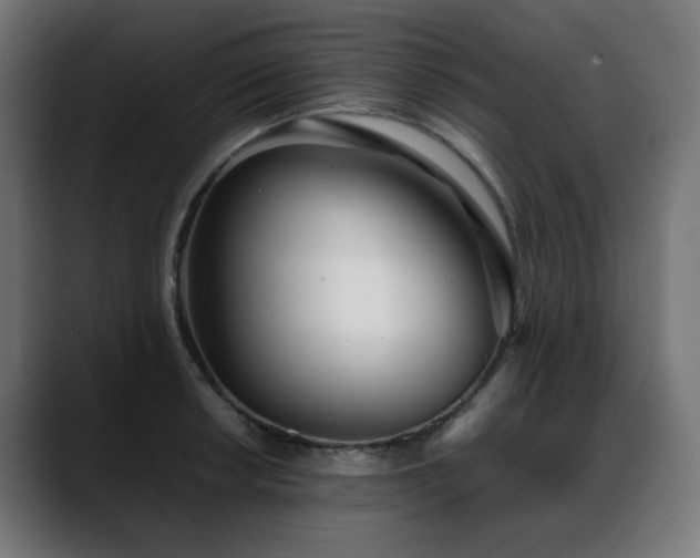 X0000088581042200705251134