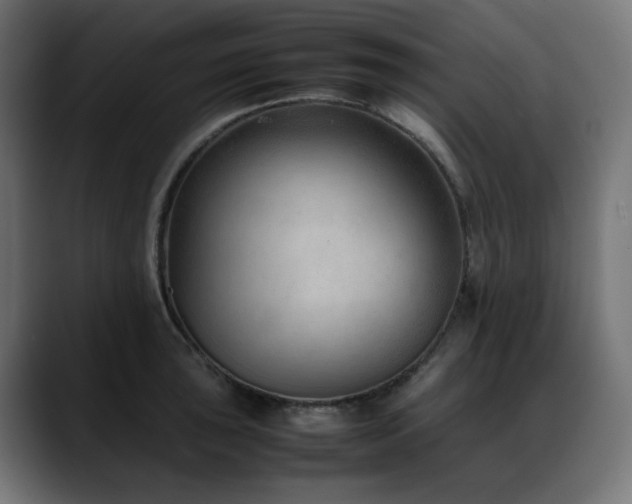X0000088581043200705251134