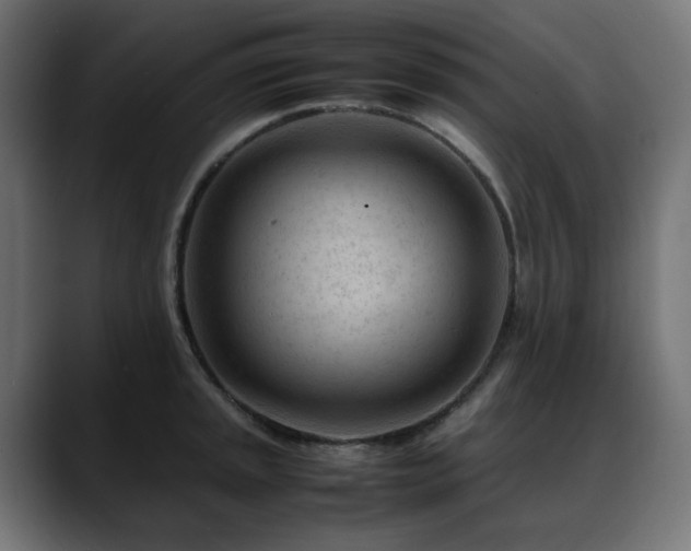 X0000088581045200705251134