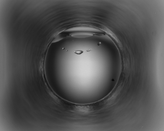 X0000088581049200705251134