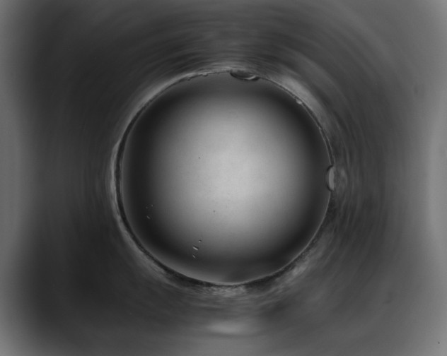 X0000088581055200705251134