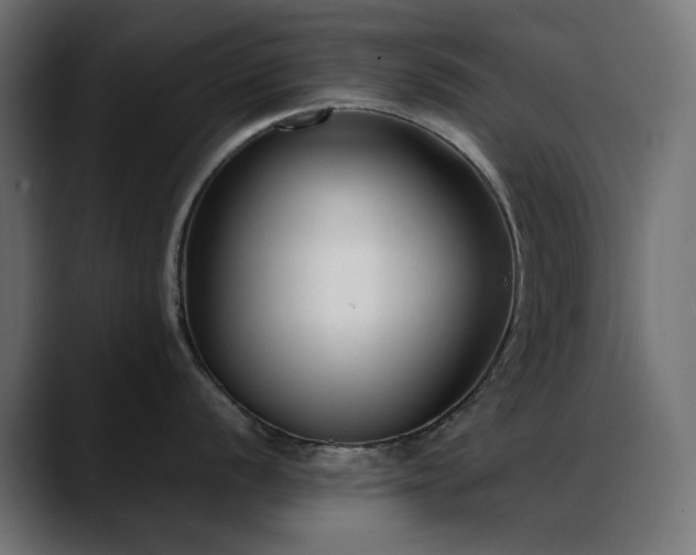 X0000088581056200705251134