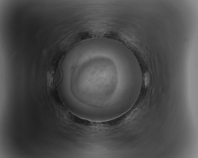 X0000088581059200705251133
