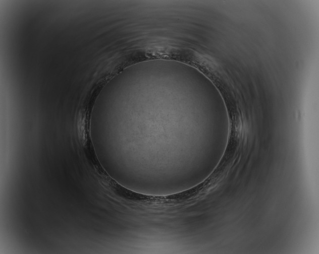 X0000088581060200705251133
