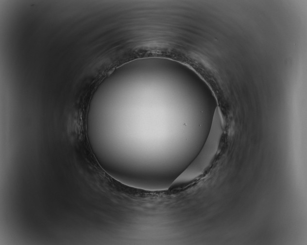 X0000088581062200705251133