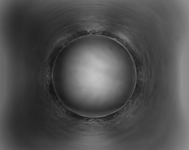 X0000088581063200705251133