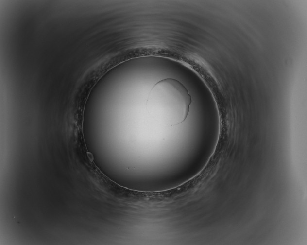 X0000088581064200705251133