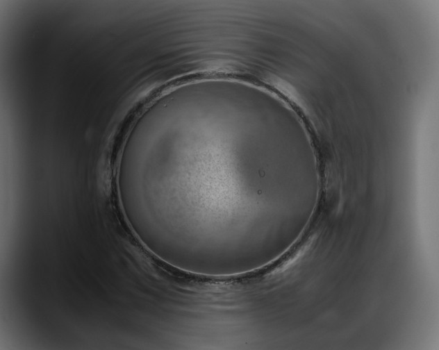 X0000088581067200705251133