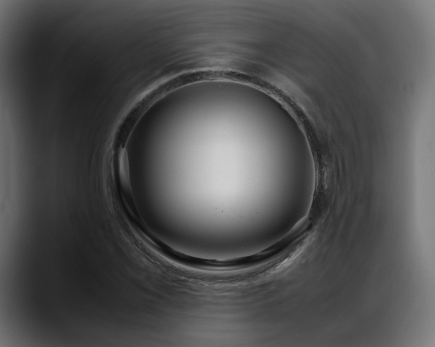 X0000088581069200705251133