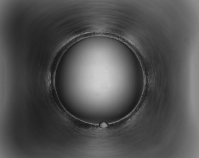 X0000088581070200705251133