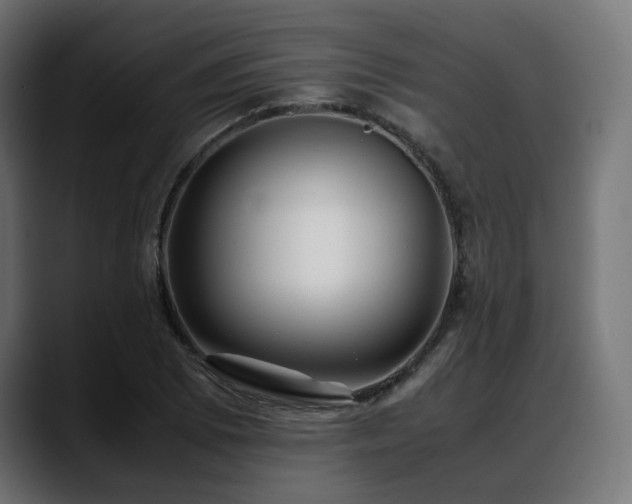 X0000088581073200705251133