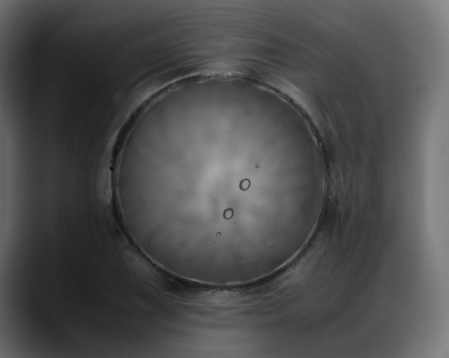 X0000088581075200705251133