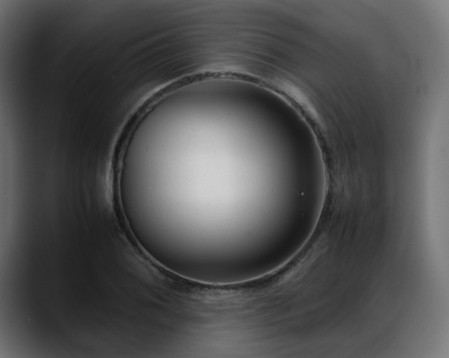 X0000088581076200705251133