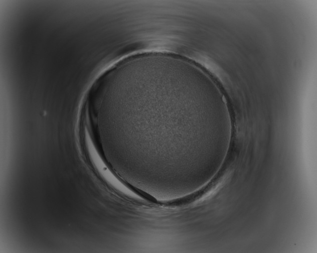 X0000088581077200705251133