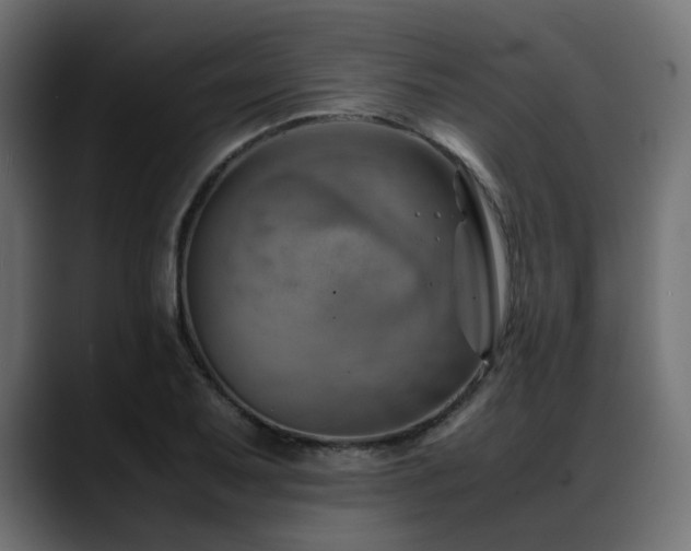 X0000088581079200705251133