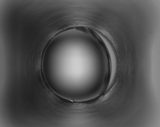 X0000088581081200705251133