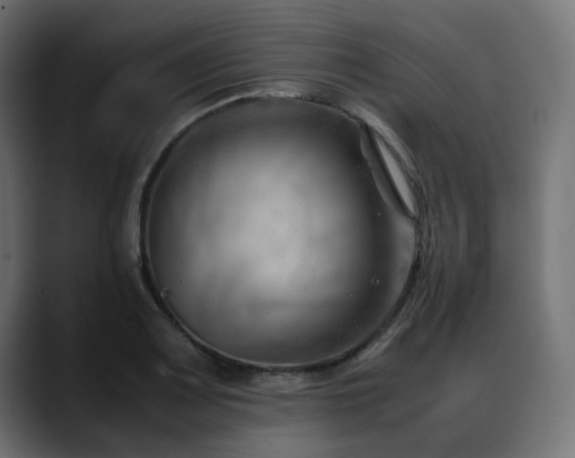 X0000088581083200705251133
