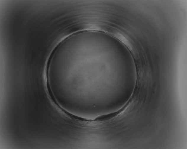X0000088581084200705251133