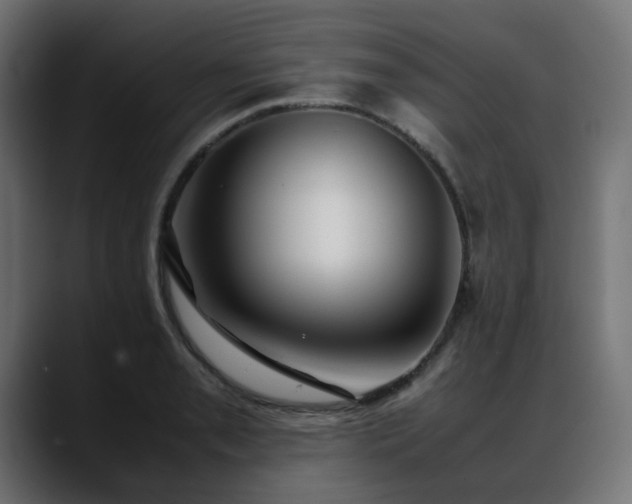 X0000088581085200705251133