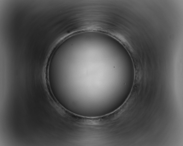 X0000088581086200705251133