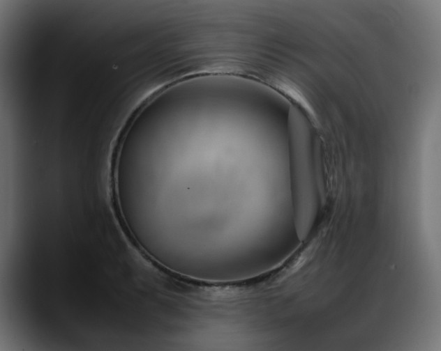 X0000088581087200705251133