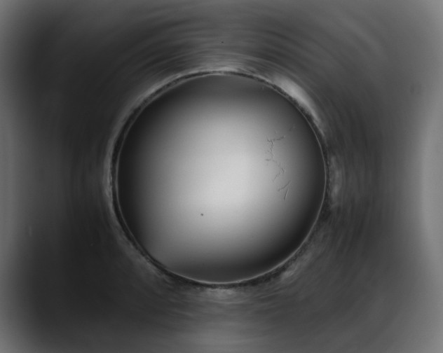 X0000088581088200705251133