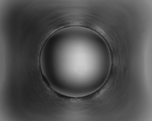 X0000088581089200705251133