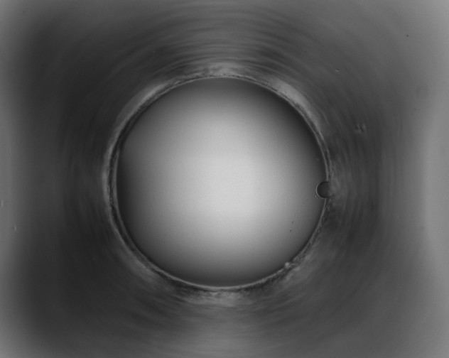 X0000088581090200705251133